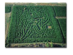 Win free tickets to a unique maze